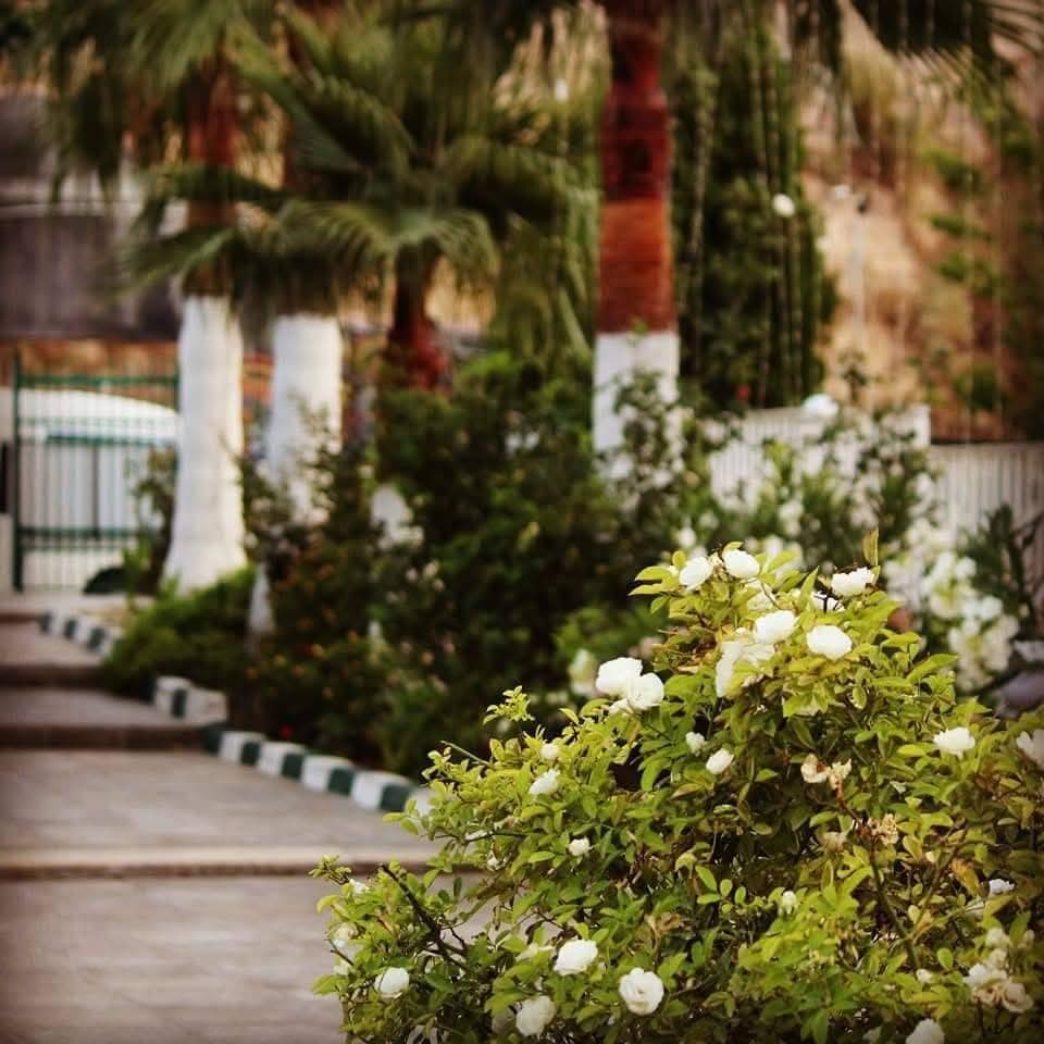 حديقة المشير حابس المجالي