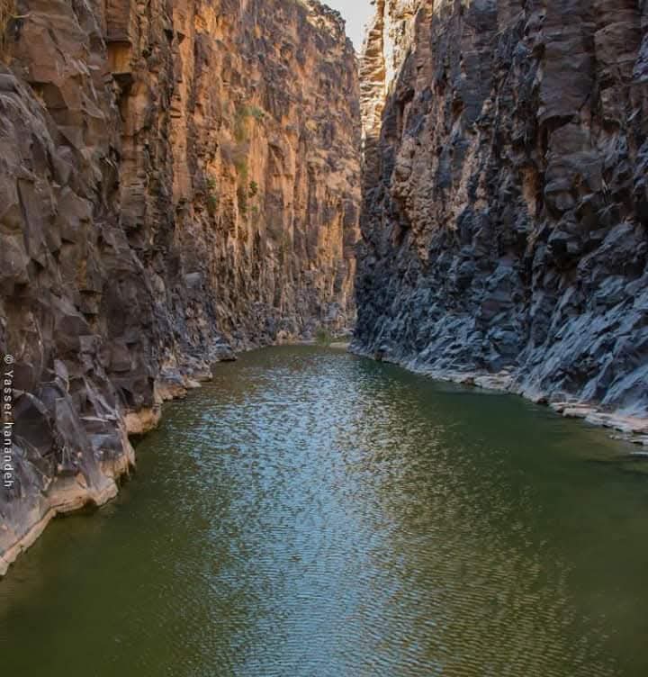 وادي الهيدان
