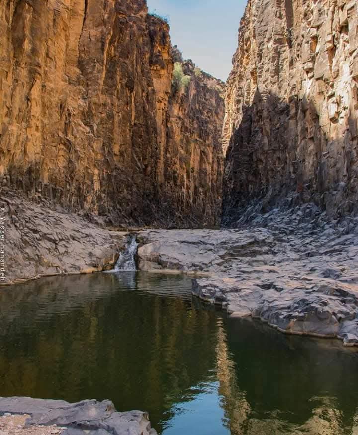 وادي الهيدان