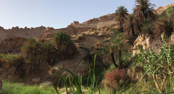 وادي ويدعة