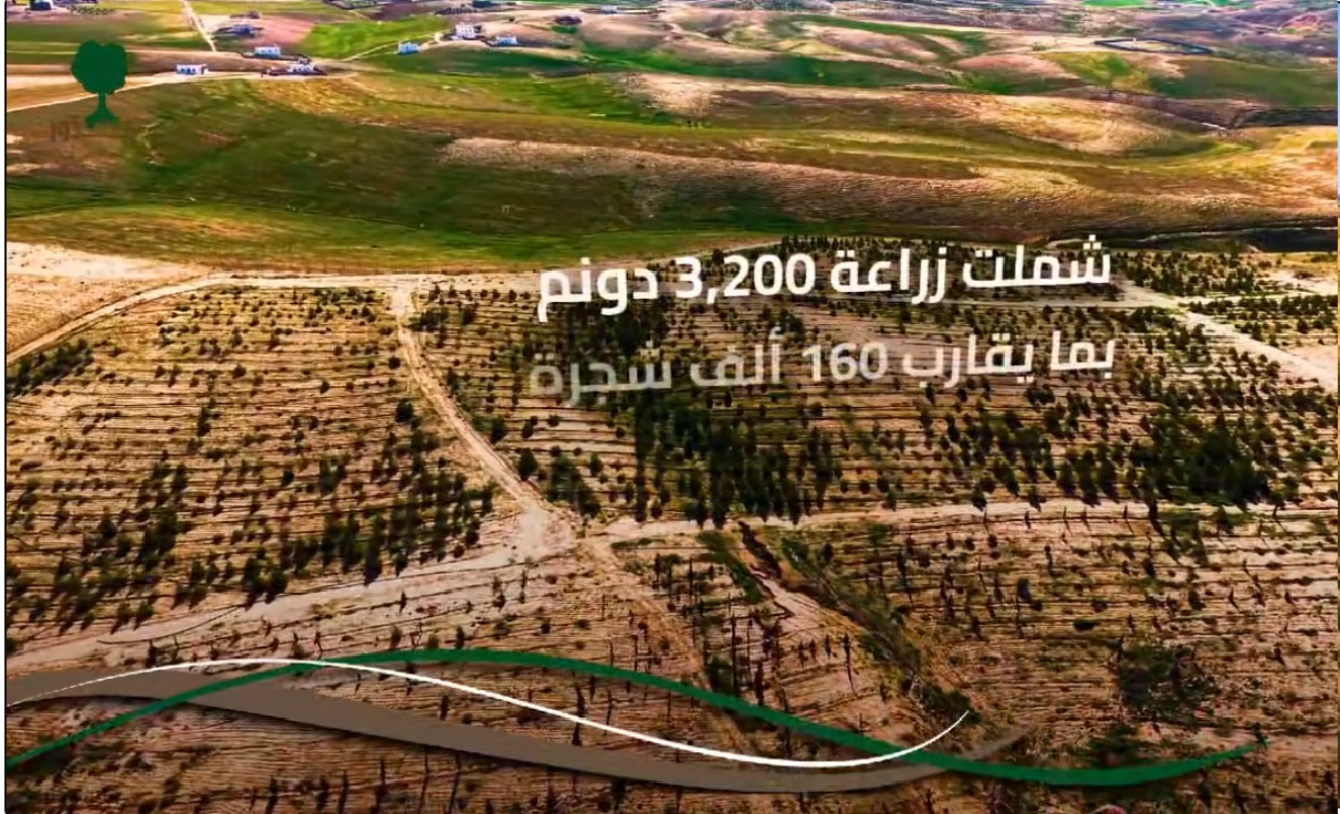 غابة جذور ( مشروع جذور)
