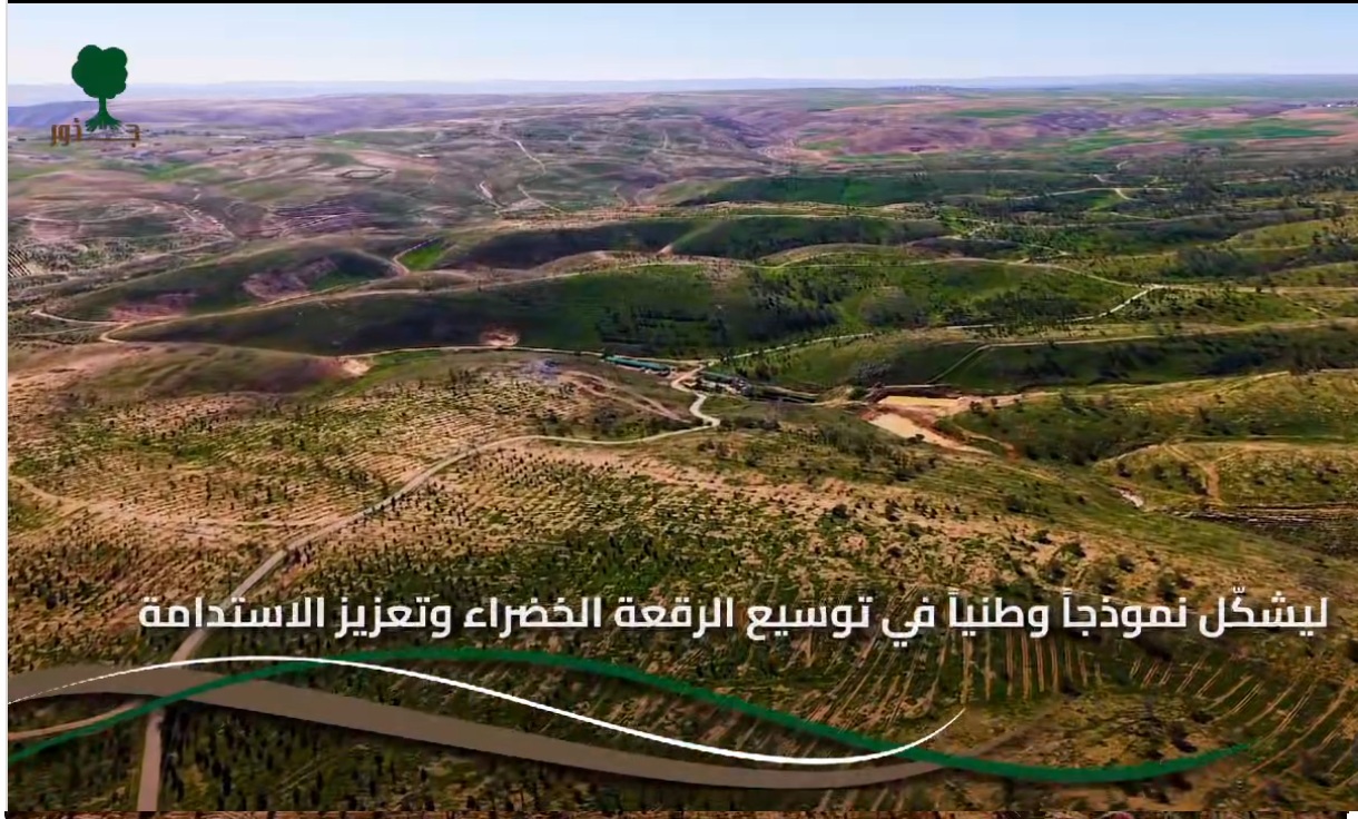 غابة جذور ( مشروع جذور)