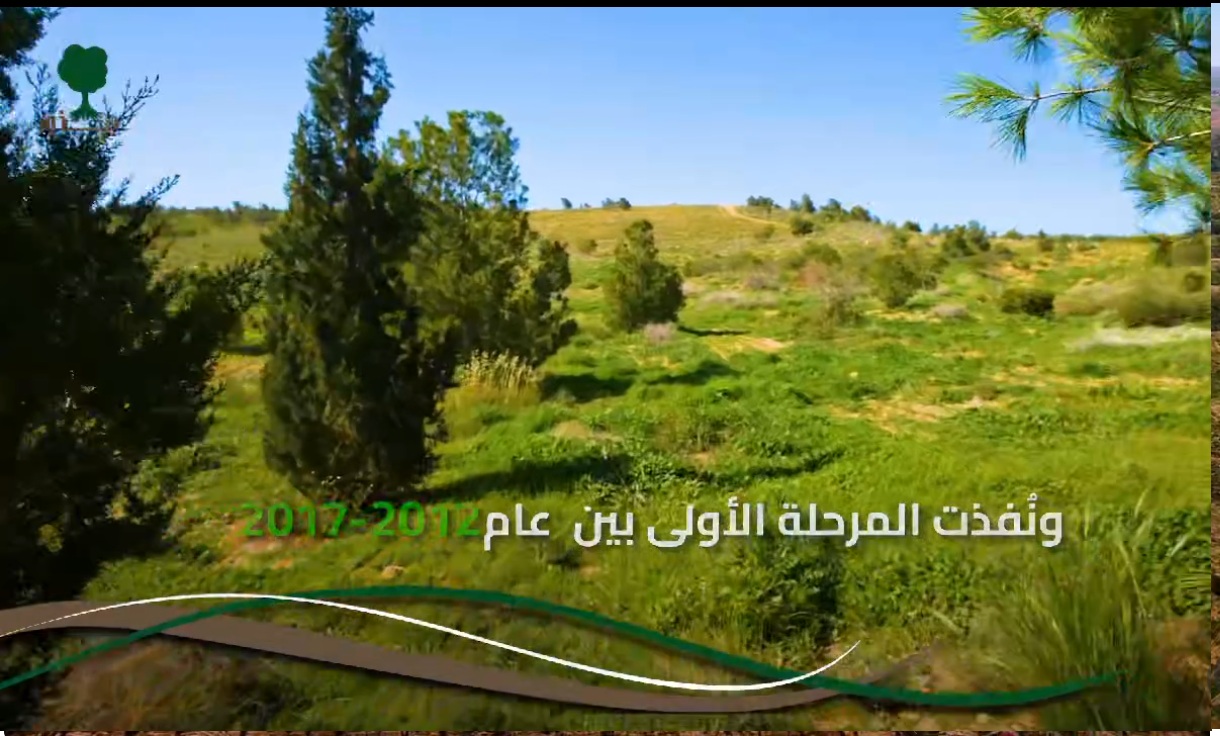 غابة جذور ( مشروع جذور)