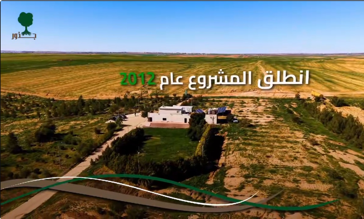 غابة جذور ( مشروع جذور)