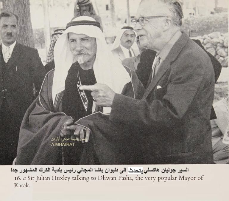 بيت دليوان باشا المجالي