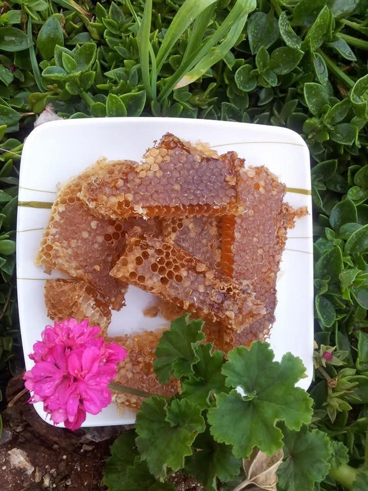 العسل الطبيعي
